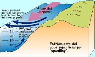 upwelling.jpg
