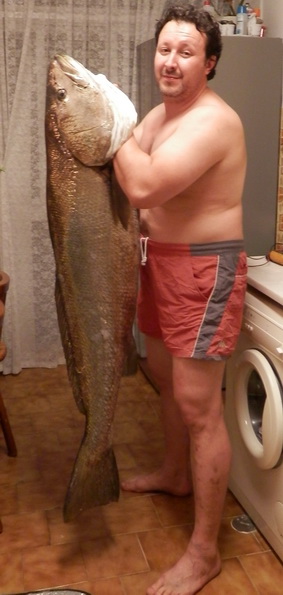 28 kilos