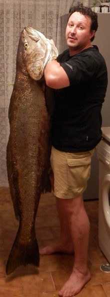 32 kilos