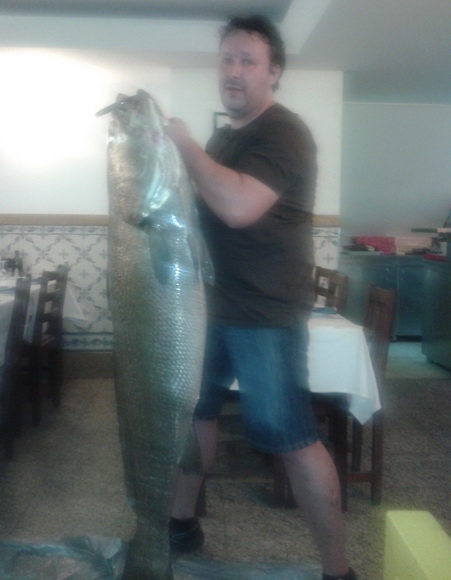 32.5 kilos