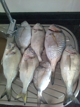 Segunda pesca
