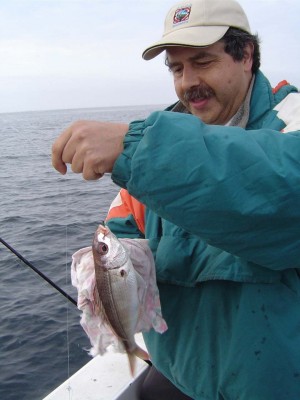 Frias.jpg