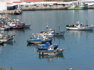 PICT0015.JPG