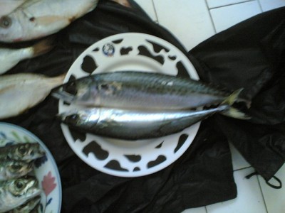 250620).jpg