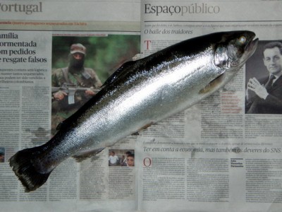 ...50cm e 1500Gr