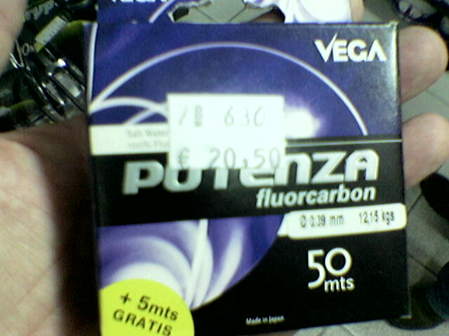 vega.jpg