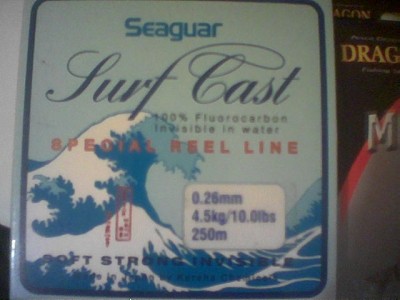 Seaguar Surf Cast