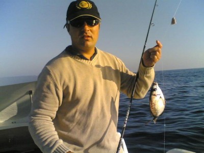 Marinho das safias