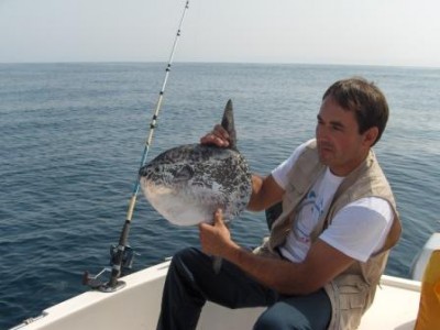 Peixe lua