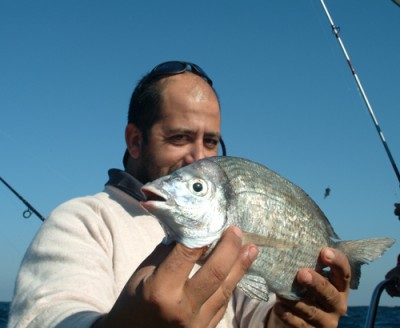 DSCF4529.jpg