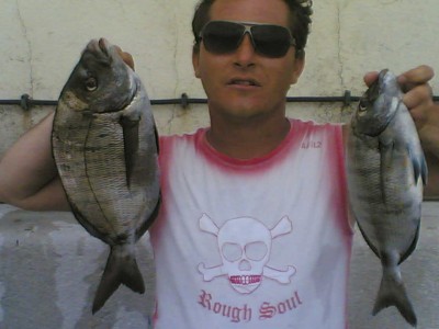 choupinhas sem medida