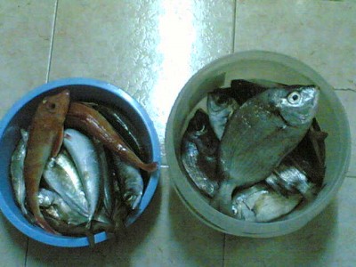 o meu quinhão....