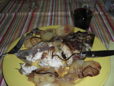 sargo safia de leça.jpg