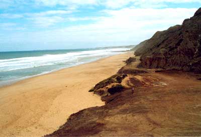 peralta_sul_norte.jpg