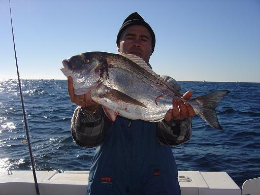 dourada2006.JPG