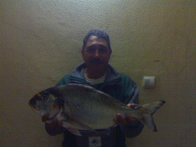 dourada pai.2.jpg