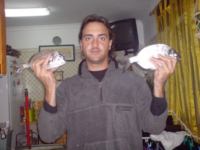sargos
