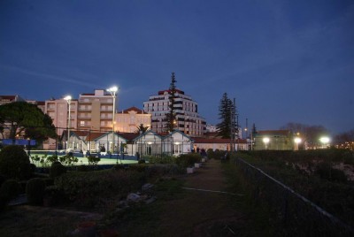 DSCF7917.JPG