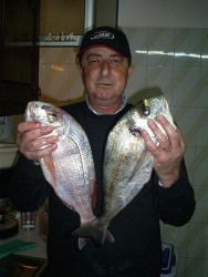 Sines - 26-01-07