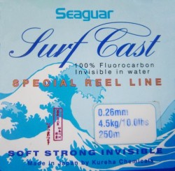 seagursurfcast.jpg