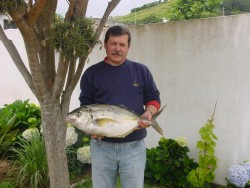 Enchareus-05.JPG