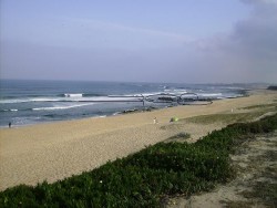 ROBALOFev2008borracha 011.jpg