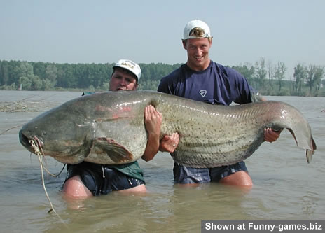 bigcatfish.jpg