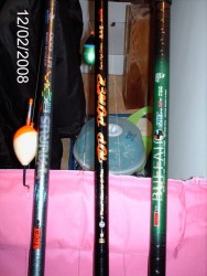 As minhas meninas, Tica Taurus 6m, Banax Top Power 6m, e Tica Bufalo 7m