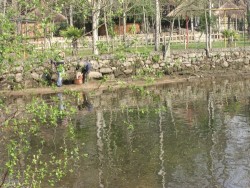 Lago Cisnes.jpg