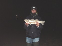 1,5 Kg