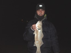 1,5Kg.jpg (46.73 KiB) Visto 150 vezes O GOI!