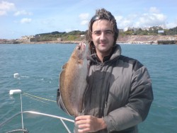 abrotea 2 kilos no xarope em frente a paço de arcos