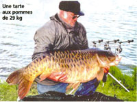 carpa 3.jpg