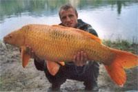 carpa 4.jpg