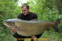 Carpa 2.jpg