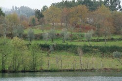 DSCF3272.JPG