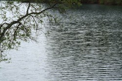 DSCF3271.JPG