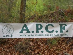 APCF...
