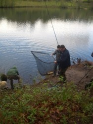 PEIXE NO CAMAROEIRO...