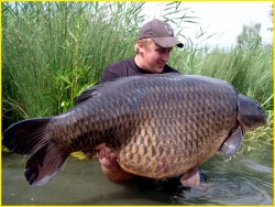 38,45kg.jpg (97.37 KiB) Visto 245 vezes Actual recorde 38.450kg