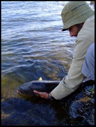 carpfishingportugal074.JPG