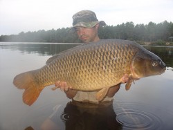18.500kg