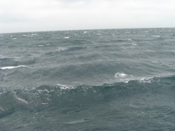 CIMG2741.JPG