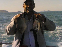 Don cunha