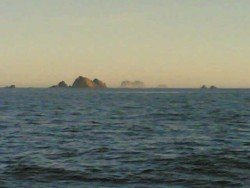berlengas lindas