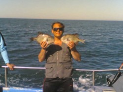 peixe peixe peixe