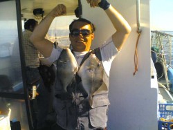 k força que estes porcos fazem pá