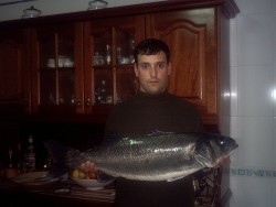 foto1.JPG