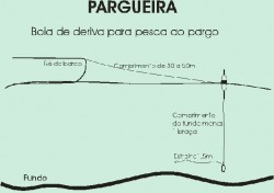 pargueira