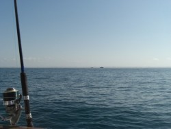 CIMG2765.JPG